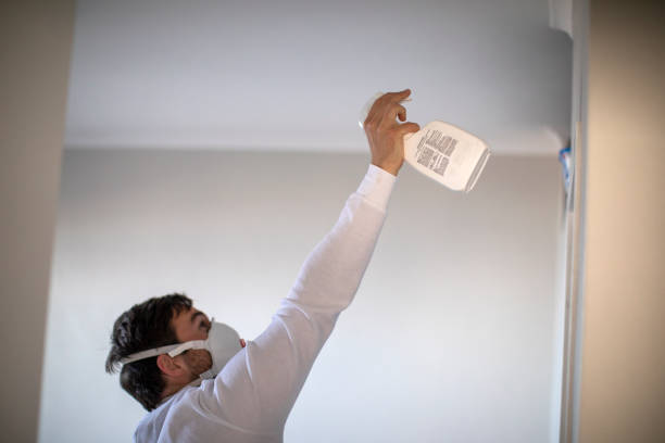 Best Black Mold Remediation in Roanoke, IL