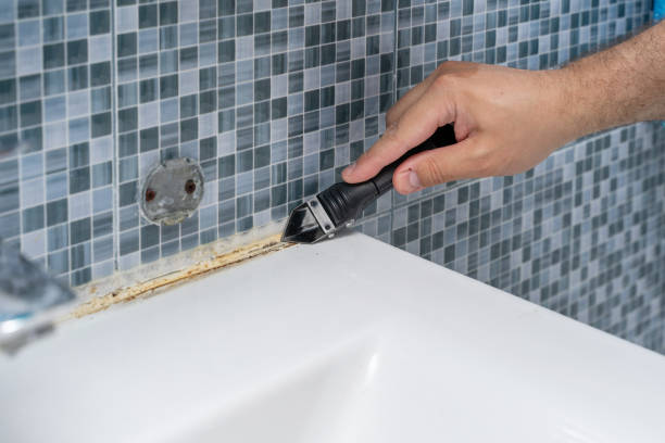  Roanoke, IL Mold Removal Pros